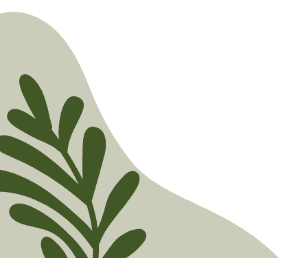 Lê Thị Phương Thảo